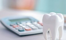 Large model tooth on surface next to calculator