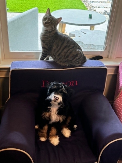 Doctor Scher's pets